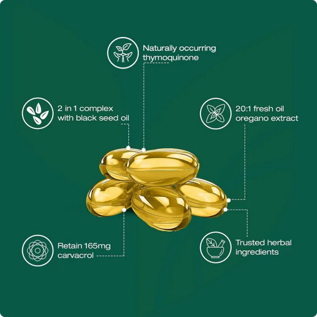 Oil Of Oregano softgel formula details